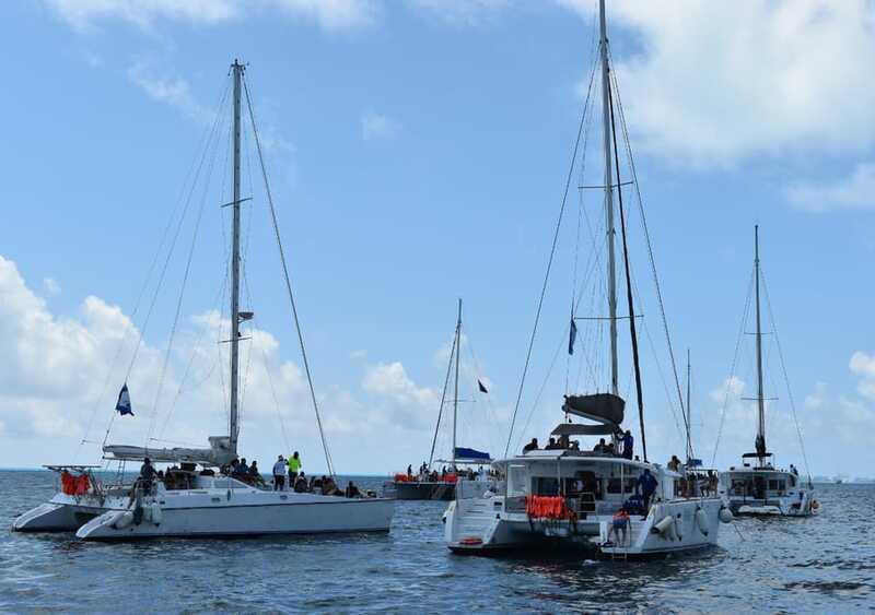 Cancun: Isla Mujeres Only Adults Catamaran, drinks & snorkel - What the $89 price really covers