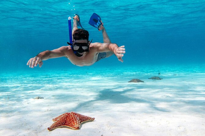 Cancun Jungle Tour with Speedboat and Snorkeling - A short reef stop in the Caribbean