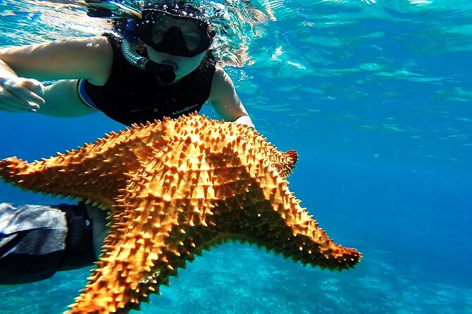 Cancun Jungle Tour with Speedboat and Snorkeling - What the $59 price really means