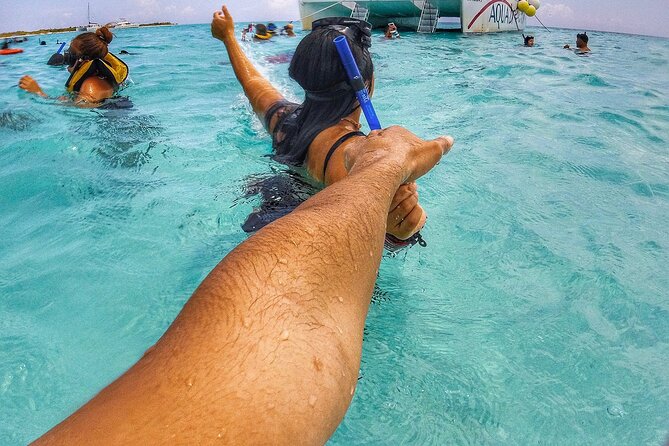 Cancun Jungle Tour with Speedboat and Snorkeling - Should you book the Cancun Jungle Tour?