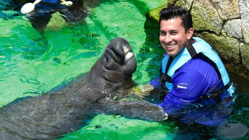 Cancún: Manatee Encounter on Isla Mujeres with Buffet Lunch - Practical booking advice