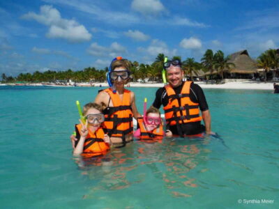 Marine Turtle Observation in Akumal