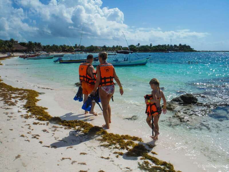 Cancun: Marine Turtle Observation in Akumal - Who Will Enjoy This Morning Most