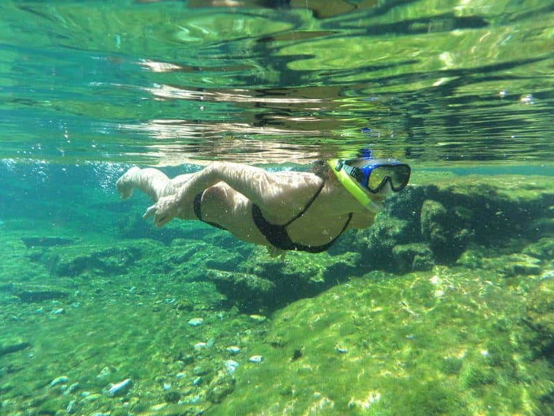 Cancun: Marine Turtle Observation in Akumal - Should You Book the Akumal Turtle and Cenote Tour?