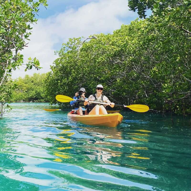 Cancún: Morning or Sunset Kayak Adventure in Nichupte Lagoon - What is included for the $50 price