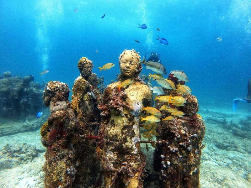Cancun: Musa Underwater Museum & Reef Discover Scuba Diving - Key points for your Cancun scuba day