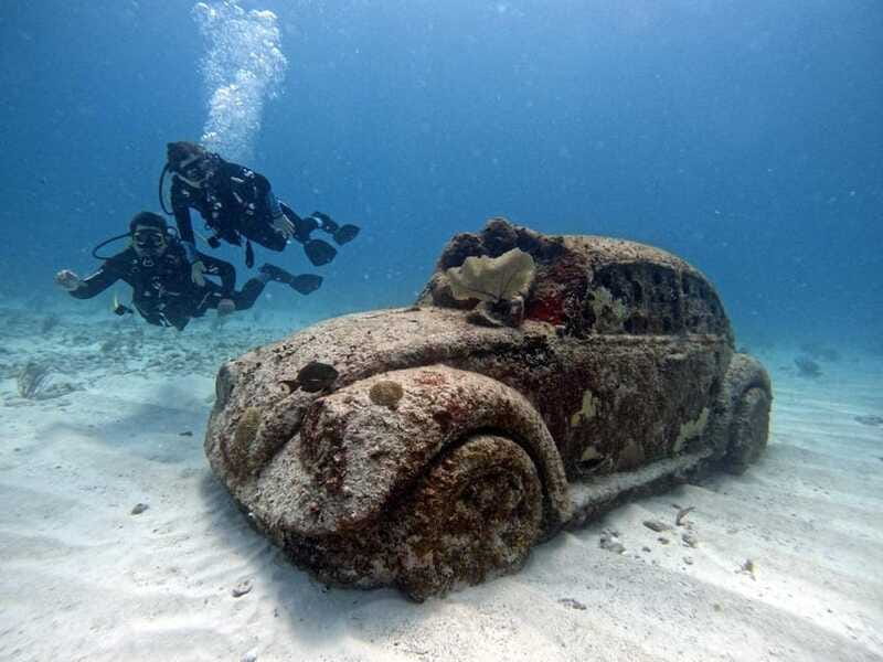 Cancun: Musa Underwater Museum & Reef Discover Scuba Diving - The reef session and living Caribbean wildlife