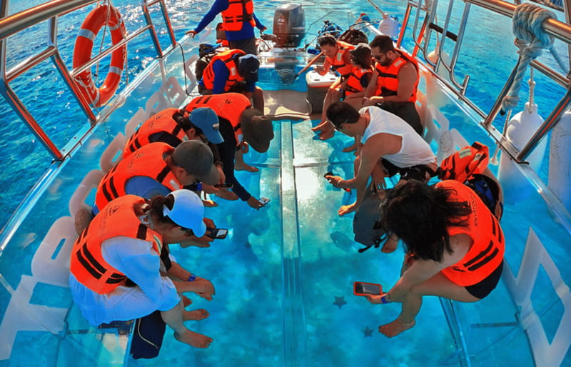 Cancún: Nichupté Lagoon Transparent Boat Tour with Drinks - Comfort, access, and small practical limits