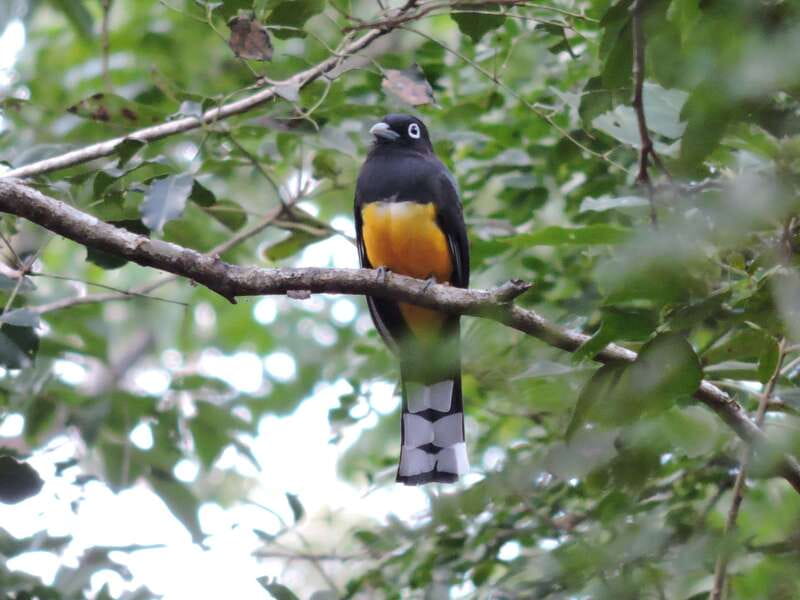 Cancun: Private Birdwatching Tour - A realistic way to judge the bird count
