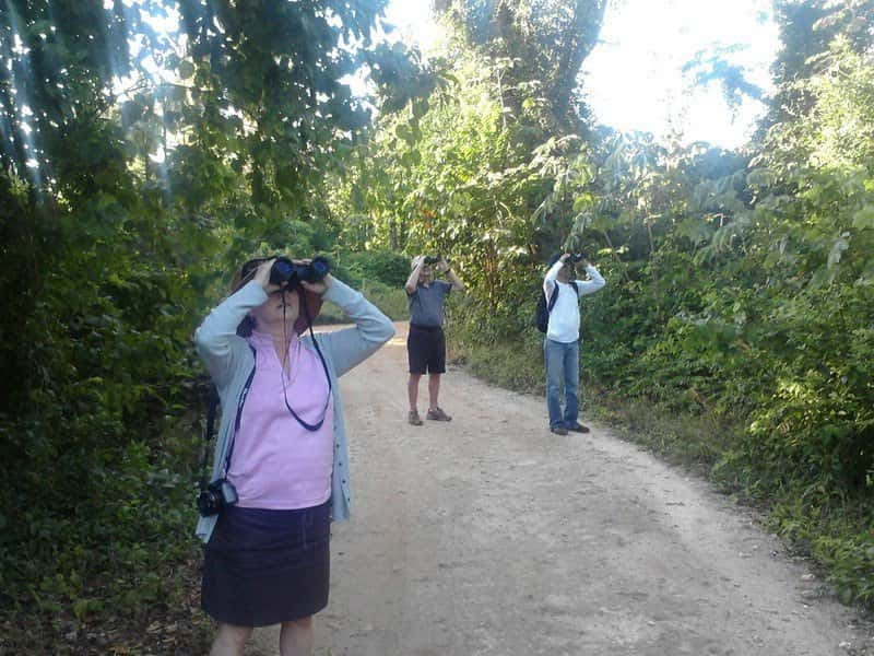 Cancun: Private Birdwatching Tour - What makes the private guide valuable