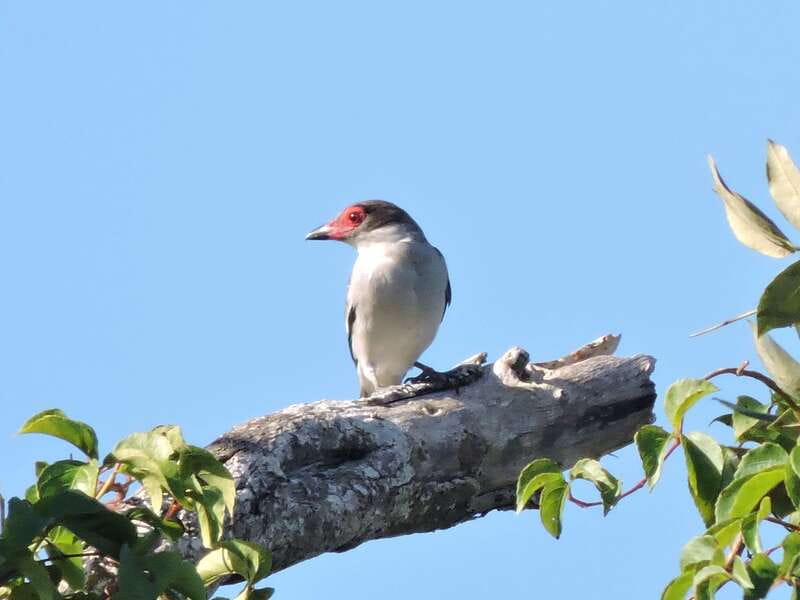 Cancun: Private Birdwatching Tour - Who will enjoy this outing most