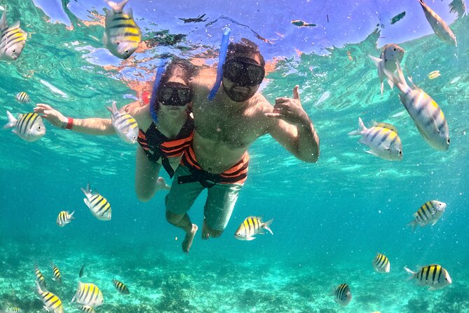 Cancun Private Catamaran Cruise– Open Bar & Snorkeling Experience - Who will enjoy this cruise most