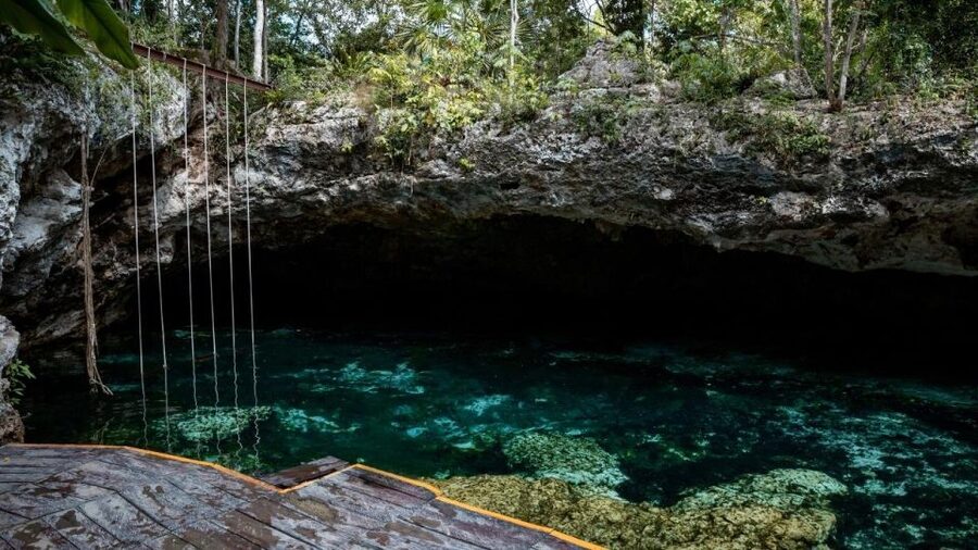 Cancun/Puerto Morelos: Tulum, Cenote & Playa del Carmen Trip - What is included, and what you still pay for