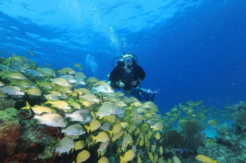 Cancun: Scuba Diving for Beginners, 2 Dives - Price and what the 167 dollars really cover