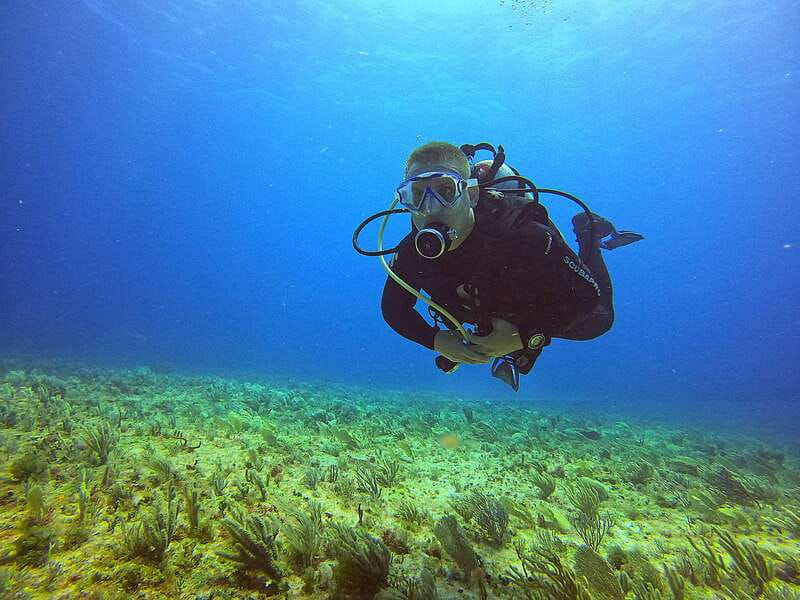 Cancun: Scuba Diving for Certified Divers, 3 options to dive - MUSA and Manchones Reef at 8 and 10 meters
