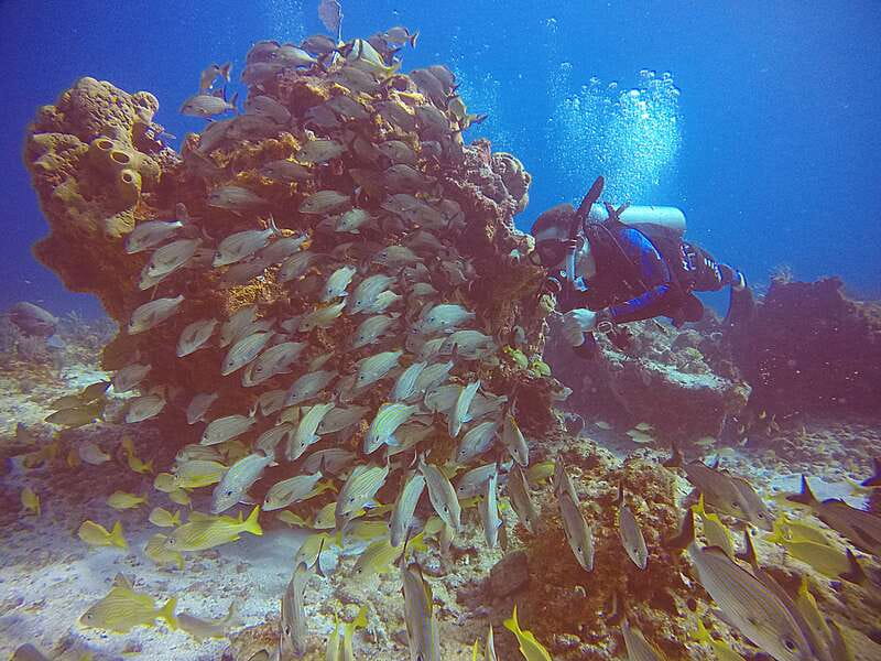 Cancun: Scuba Diving for Certified Divers, 3 options to dive - What the crew and equipment setup are like
