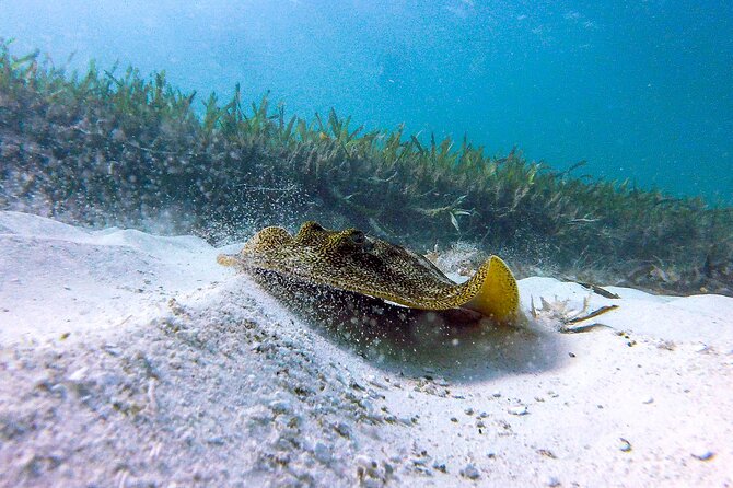 Cancun Snorkeling Adventure: Underwater Museum, Reef & Shipwreck - The Shipwreck Stop Is More Than a Photo Opportunity