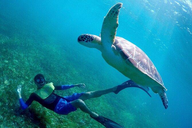 Cancun Snorkeling Adventure: Underwater Museum, Reef & Shipwreck - Guides Make the Biggest Difference