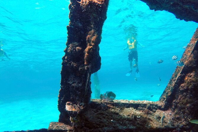 Cancun Snorkeling Adventure: Underwater Museum, Reef & Shipwreck - What the $79 Price Really Covers