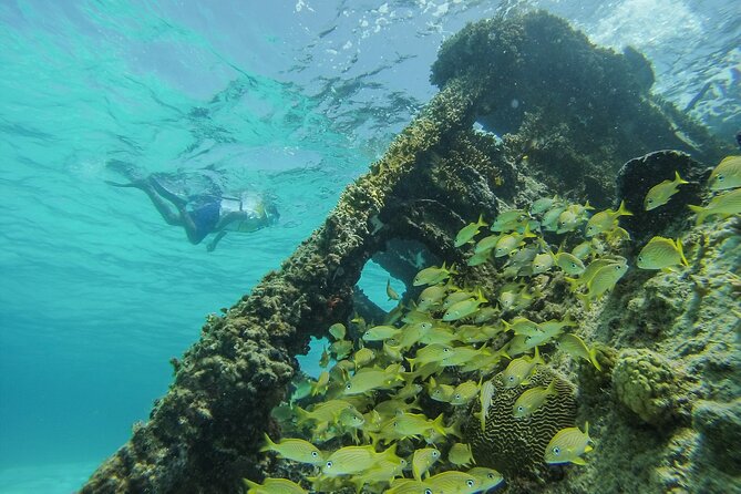 Cancun Snorkeling Adventure: Underwater Museum, Reef & Shipwreck - Getting Ready for the Marina and Water