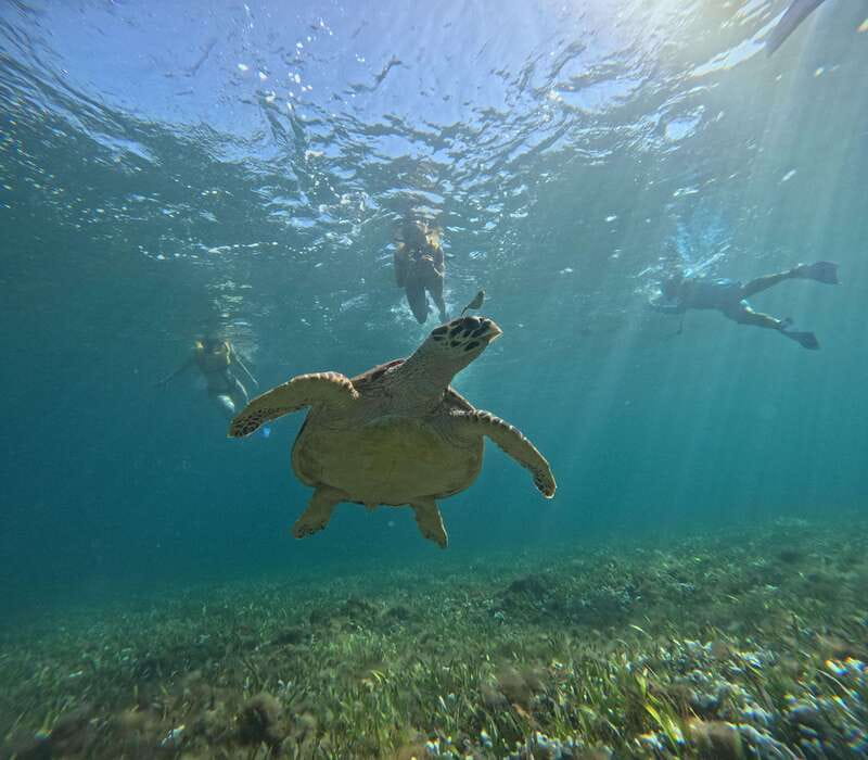 Cancun: Snorkeling Boat Tour with Gear - The briefing makes a difference for beginners