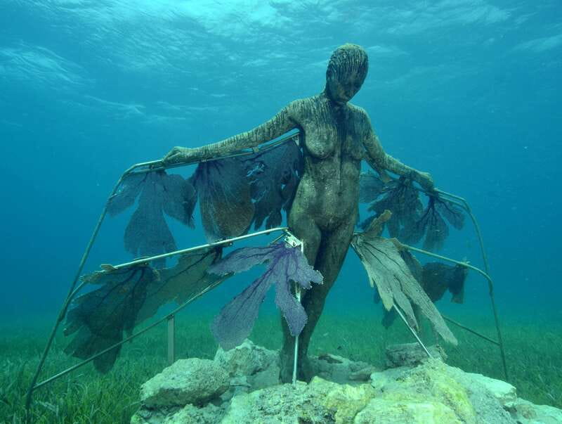 Cancun: Snorkeling Tour at MUSA The Underwater Museum - Should you book the MUSA snorkeling tour?