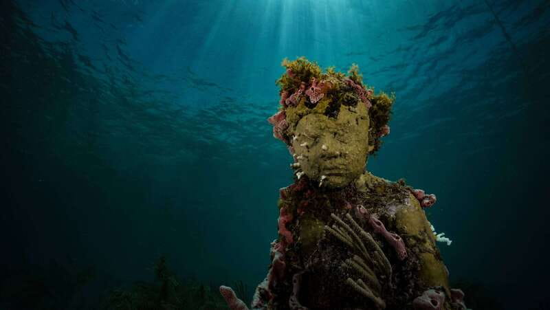 Cancun: Snorkeling Tour at MUSA The Underwater Museum - What the boat trip feels like