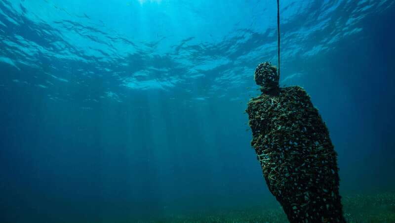 Cancun: Snorkeling Tour at MUSA The Underwater Museum - Who will enjoy this most?
