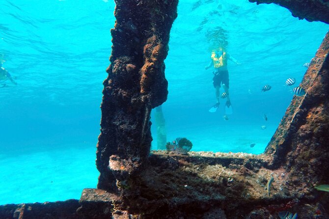 Cancun Snorkeling Tour: Swim with Turtles, Reef, Underwater Museum and Shipwreck - How demanding is the swimming?