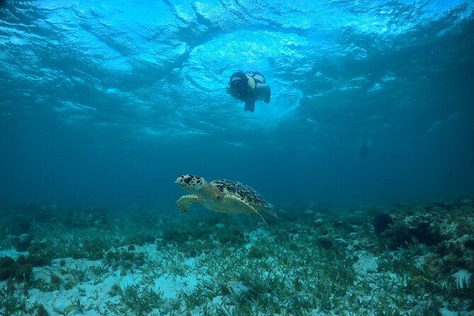 Cancun Snorkeling Tour: Swim with Turtles, Reef, Underwater Museum and Shipwreck - Sun protection and what to wear