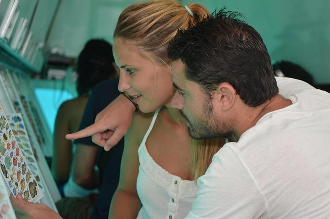 Cancun Submarine and Optional Snorkeling Tour - Who should book this Cancun outing