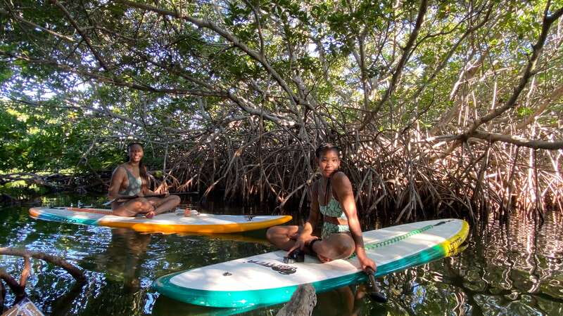 Cancun: Sunrise/Sunset Stand-Up Paddleboarding Tour - One hour of steady paddleboarding