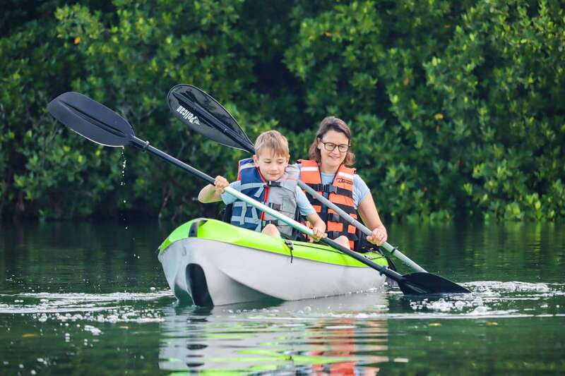 Cancun: Sunset Kayak Experience in the Mangroves - Why Nichupté Lagoon makes a fine escape