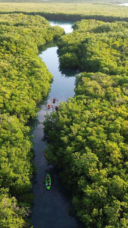 Cancun: Sunset Kayak Experience in the Mangroves - The 15-minute safety and warm-up session