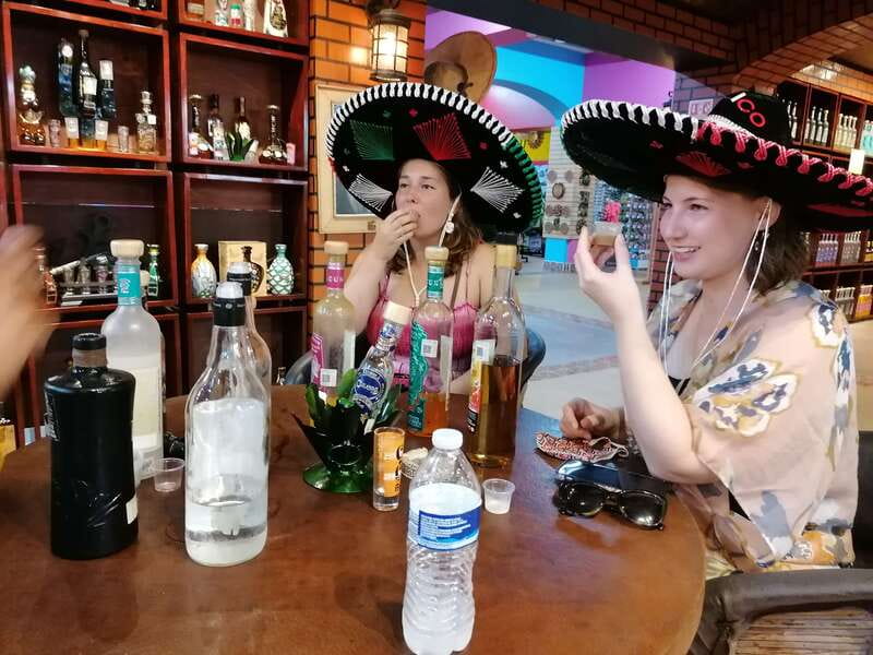 Cancun Taco Tour: Street Food & Tequila Tasting in Downtown - Key points to know before booking