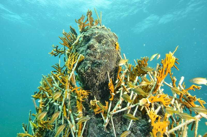 Cancún: Underwater Museum & Reef for Certified Scuba Divers - Key points to know before booking