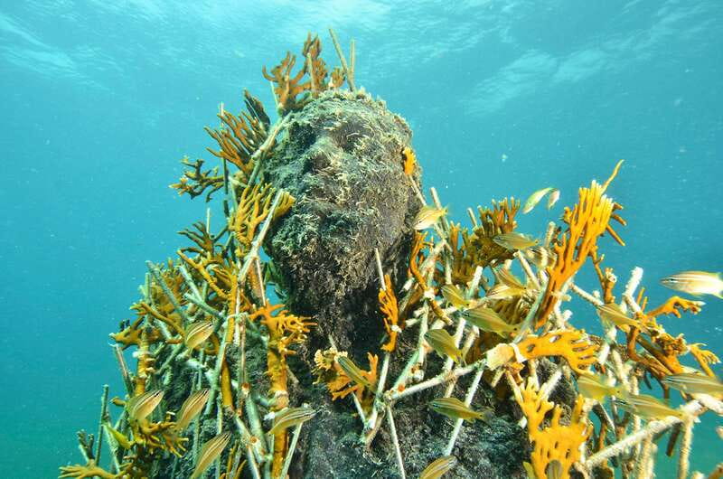 Cancún: Underwater Museum & Reef for Certified Scuba Divers - Why the underwater museum is more than a photo stop
