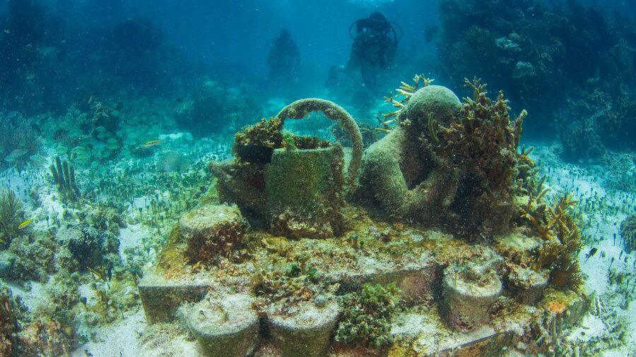 Cancún: Underwater Museum & Reef for Certified Scuba Divers - What to bring and what to expect at the front desk