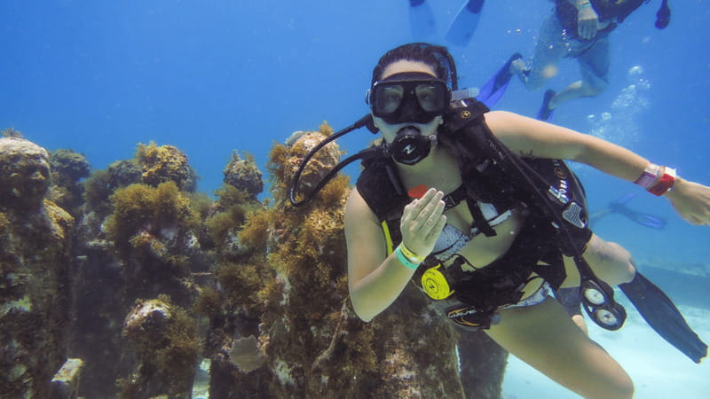 Cancún: Underwater Museum & Reef for Certified Scuba Divers - Who will enjoy this Cancún excursion most