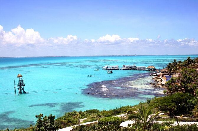Cancun Whale Shark Experience with Snorkel & Transportation - Key points to know before booking