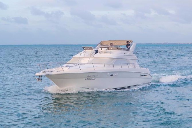 Cancun Yacht Tour - SEARAY YACHT 46 FT GREAT FOR SUNSET 15 PEOPLE MAX 25P9 - Who will enjoy this yacht outing most