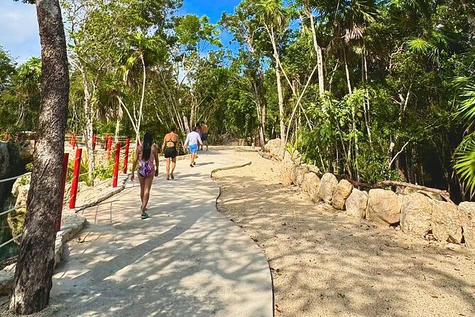 Casa Tortugas cenotes, Tulum Mayan site and Madre Naturaleza tour - Is $72.50 a good value?