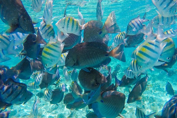 Catamaran Group Sightseeing, Snorkeling Tour Isla Mujeres - Free time on Isla Mujeres
