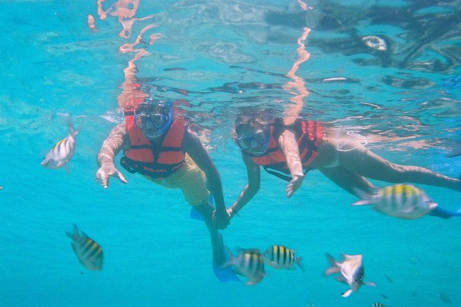 Catamaran Isla Mujeres Tour with Hotel Pick Up included - Snorkeling among tropical fish and coral