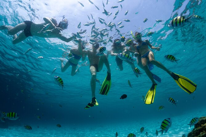 Catamaran Isla Mujeres Tour with Hotel Pick Up included - Hotel pickup and the return journey
