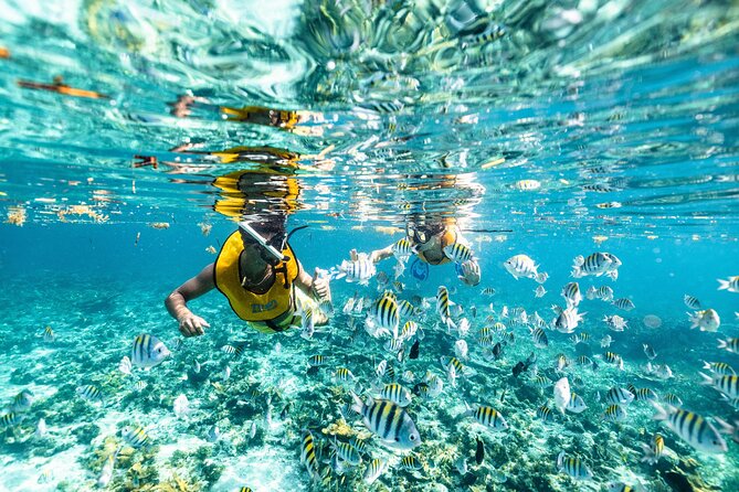 Catamaran Sailing to Isla Mujeres From Cancun - Two and a half hours around Isla Mujeres town