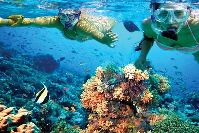 Catamaran Sailing to Isla Mujeres with Snorkeling, Lunch & Open Bar included - The reef snorkel: useful, but keep expectations modest