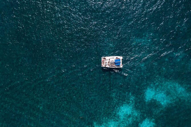Catamaran Snorkeling with Openbar & Lunch Cancun to Isla Mujeres - The snorkeling question deserves a close look