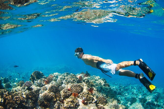 Catamaran to Isla Mujeres at sunset pick up Cancun - One hour or two hours in Isla Mujeres?