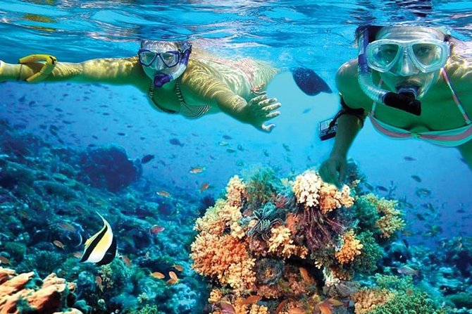 Catamaran Tour from Cancun to Isla Mujeres - Language, group size, and service details